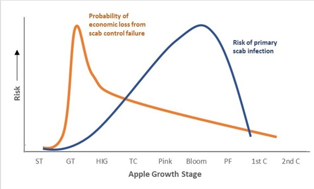 A line graph showing risk over apple growth stages. The x-axis lists stages from silver tip (ST), green tip (GT), half-inch green (HIG), tight cluster (TC), pink, bloom, petal fall (PF), first cover (1st C), to second cover (2nd C). The y-axis represents risk. A blue curve labeled &ldquo;Risk of primary scab infection&rdquo; starts low at early stages, rises steadily to peak around bloom, then declines sharply after petal fall. An orange curve labeled &ldquo;Probability of economic loss from scab control failure&rdquo; spikes early around green tip, then gradually declines through the remaining stages.